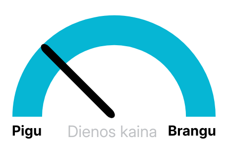 Elektros biržos kaina rytoj