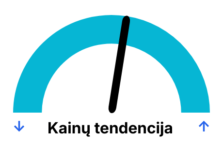 Elektros biržos kainos pagal dienas