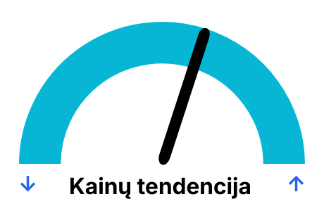 Elektros biržos kainos pagal dienas